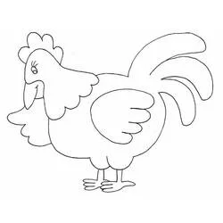 Coloriage Poule debout avec plumes et queue relevée