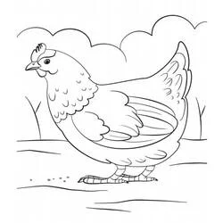Coloriage Poule debout dans une cour de ferme