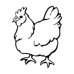 Coloriage Poule debout sur le sol