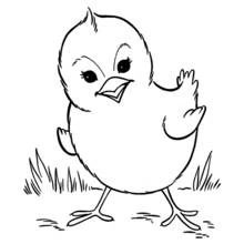 Coloriage Poussin agitant une aile dans l'herbe