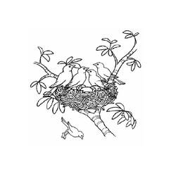 Coloriage Poussin niché avec sa famille dans un nid