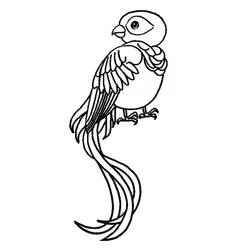 Coloriage Quetzal à la longue queue ondulée