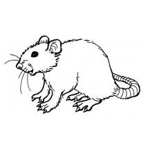 Coloriage Rat debout à la queue enroulée