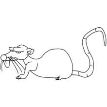 Coloriage Rat allongé avec une longue queue recourbée
