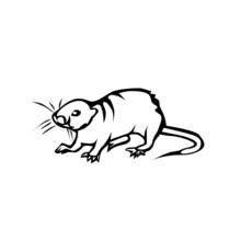 Coloriage Rat marchant avec une longue queue