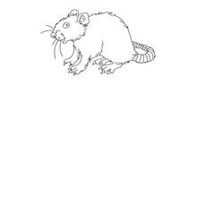 Coloriage Rat aux longues moustaches et à la queue enroulée