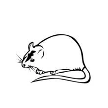 Coloriage Rat assis avec sa longue queue
