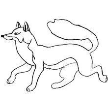 Coloriage Renard trottinant de profil