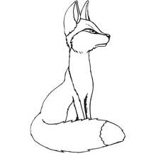 Coloriage Renard assis avec sa queue enroulée