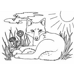 Coloriage Renard allongé dans une prairie ensoleillée