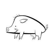 Sanglier - Coloriages gratuits à imprimer