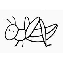 Sauterelle - Coloriages gratuits à imprimer