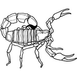 Coloriage Scorpion avec queue relevée et pinces ouvertes