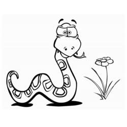 Coloriage Serpent près d'une fleur