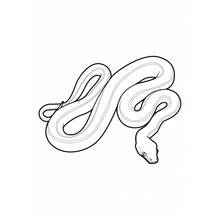Coloriage Serpent enroulé en boucles souples