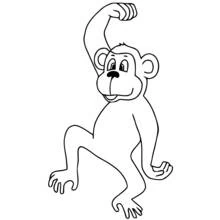 Coloriage Singe se grattant la tête en marchant