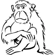 Coloriage Singe assis les bras croisés sur les genoux