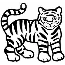 Coloriage Tigre debout à la queue enroulée Coloriage Tigre debout à la queue enroulée