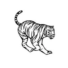 Coloriage Tigre en train de ramper Coloriage Tigre en train de ramper