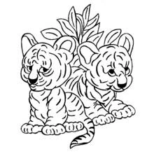 Coloriage Tigre bébés assis côte à côte Coloriage Tigre bébés assis côte à côte