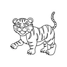 Coloriage Tigre en train de marcher Coloriage Tigre en train de marcher