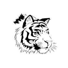 Coloriage Tigre en portrait de profil Coloriage Tigre en portrait de profil
