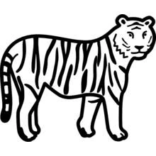 Coloriage Tigre debout de profil Coloriage Tigre debout de profil