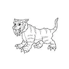 Coloriage Tigre aux dents de sabre en marche Coloriage Tigre aux dents de sabre en marche
