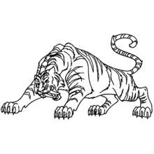 Coloriage Tigre accroupi prêt à bondir Coloriage Tigre accroupi prêt à bondir