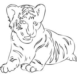 Coloriage Tigre couché de face Coloriage Tigre couché de face