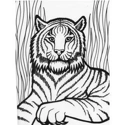 Coloriage Tigre au repos avec fond rayé