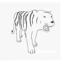 Coloriage Tigre en marche la gueule ouverte