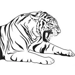 Coloriage Tigre rugissant la gueule grande ouverte