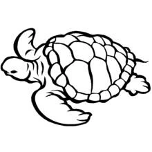 Coloriage Tortue marine souriante, larges nageoires écartées