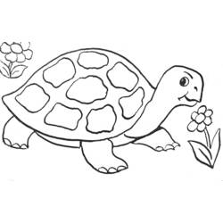 Coloriage Tortue se promenant près de fleurs