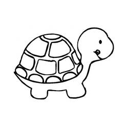 Coloriage Tortue au dos rond
