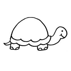 Tortue - Coloriages gratuits à imprimer