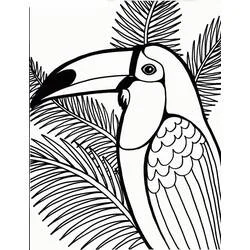Toucan - Coloriages gratuits à imprimer