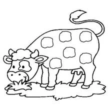 Coloriage Vache broutant de l'herbe
