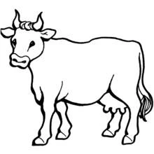 Coloriage Vache debout la tête tournée vers l'avant