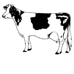 Coloriage Vache debout de profil