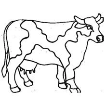 Coloriage Vache aux motifs d'art populaire