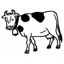 Coloriage Vache portant une cloche