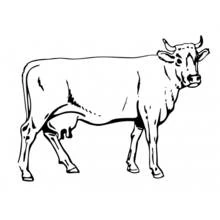 Coloriage Vache debout de profil avec des cornes
