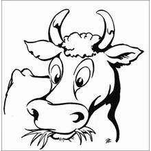 Coloriage Vache mâchant de l'herbe