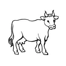 Coloriage Vache debout de profil
