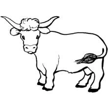 Coloriage Vache aux longues cornes debout