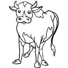 Coloriage Vache debout au regard curieux