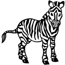 Zèbre - Coloriages gratuits à imprimer