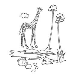 Coloriage Girafe debout près de grands arbres